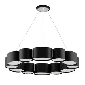 Opal 12 Light 30 inch Soft Black With Stainless Steel Chandelier Ceiling Light