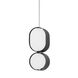 Opal 2 Light 5 inch Soft Black With Stainless Steel Pendant Ceiling Light in Soft Black/Stainless Steel