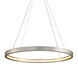Jasmine LED 44 inch Silver Leaf Pendant Ceiling Light, Circular Frame